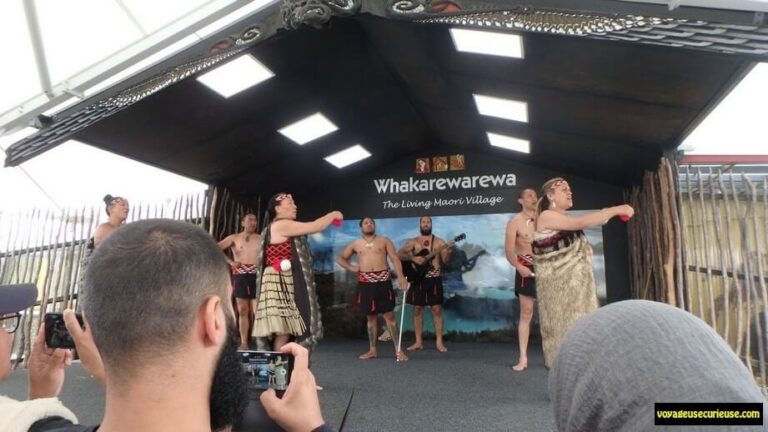 Danses traditionnelles maories